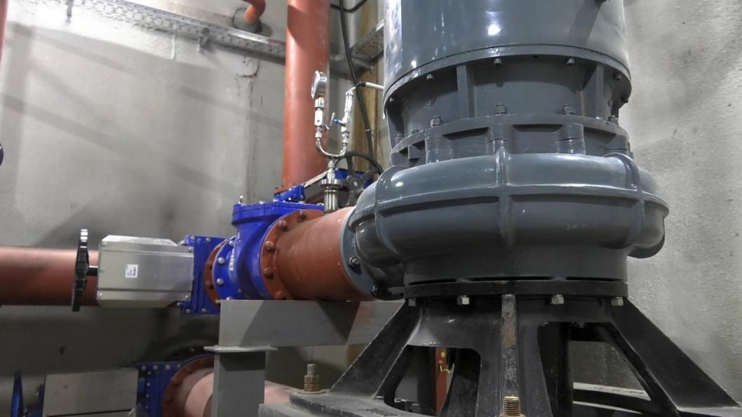 скриншот видео ИА "Тюменская линия"