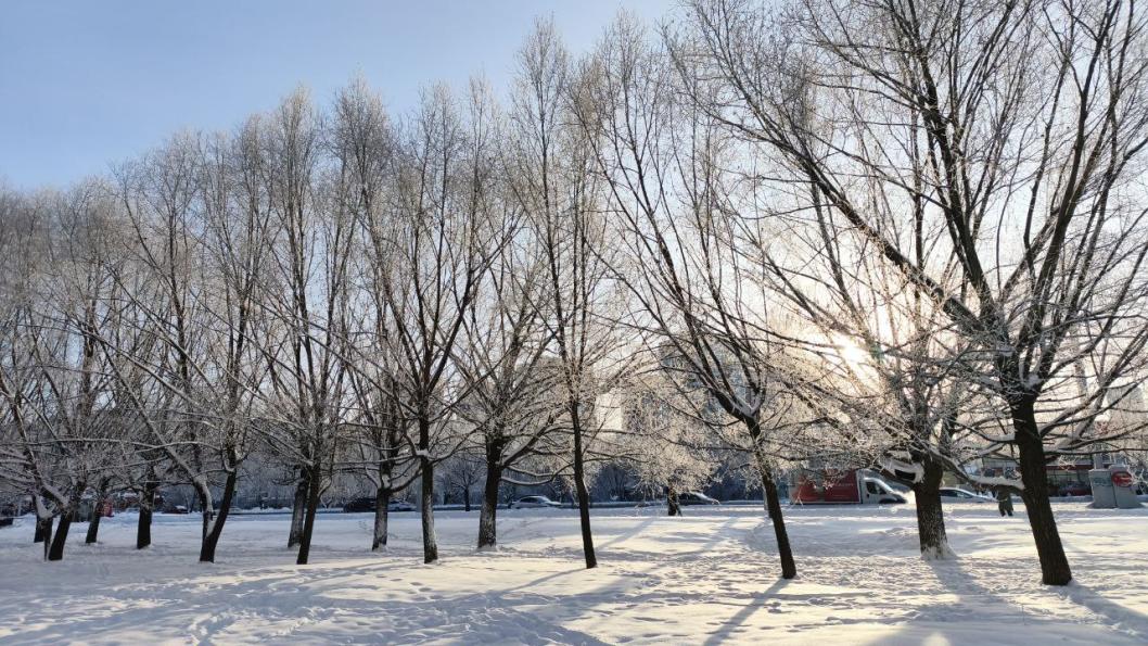 Инна Пахомова, ИА "Тюменская линия"