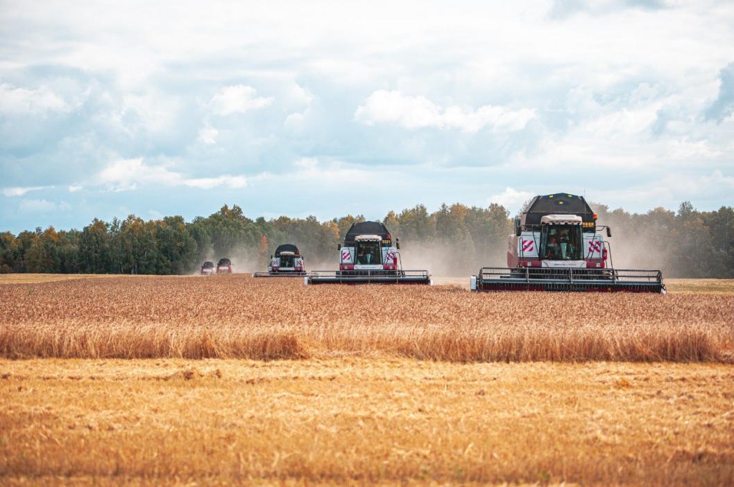 информационный центр правительства Тюменской области