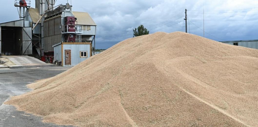 Сергей Елесин, ИА "Тюменская линия"