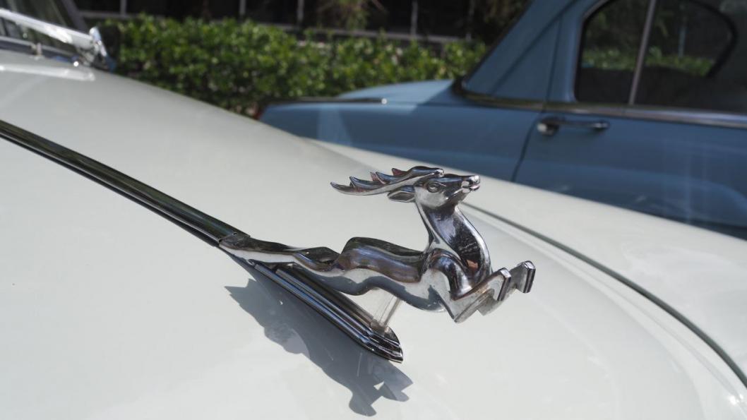 Инна Пахомова, ИА "Тюменская линия" (архив)