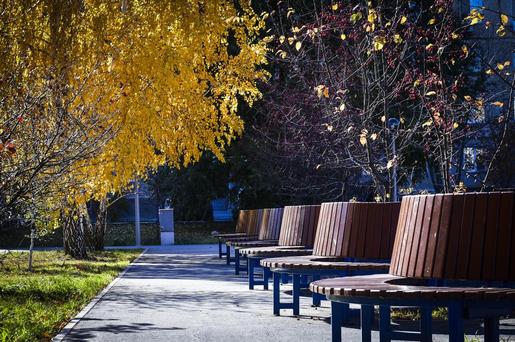 Сергей Елесин, ИА "Тюменская линия"