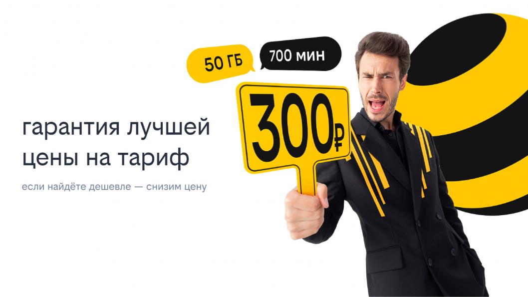 материал и фото предоставлены пресс-службой Билайна