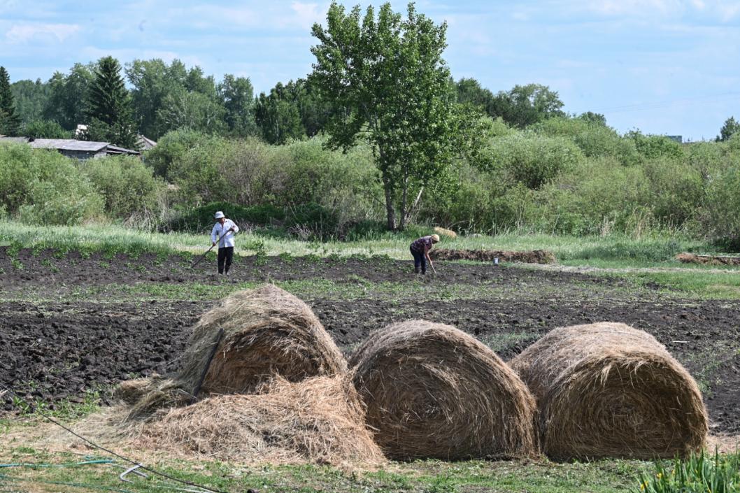 Сергей Елесин, ИА "Тюменская линия"