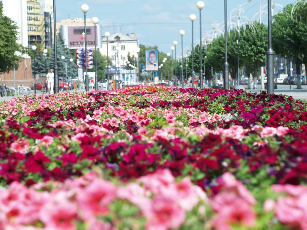 Виктор Сергеев, ИА "Тюменская линия"