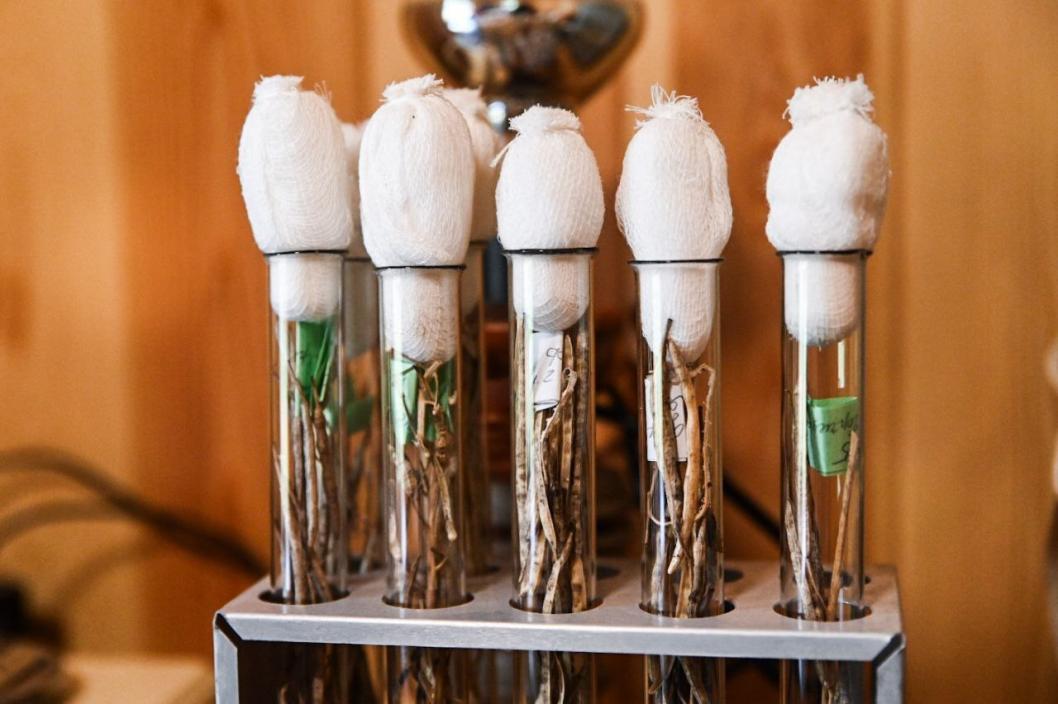 Сергей Елесин, ИА "Тюменская линия"