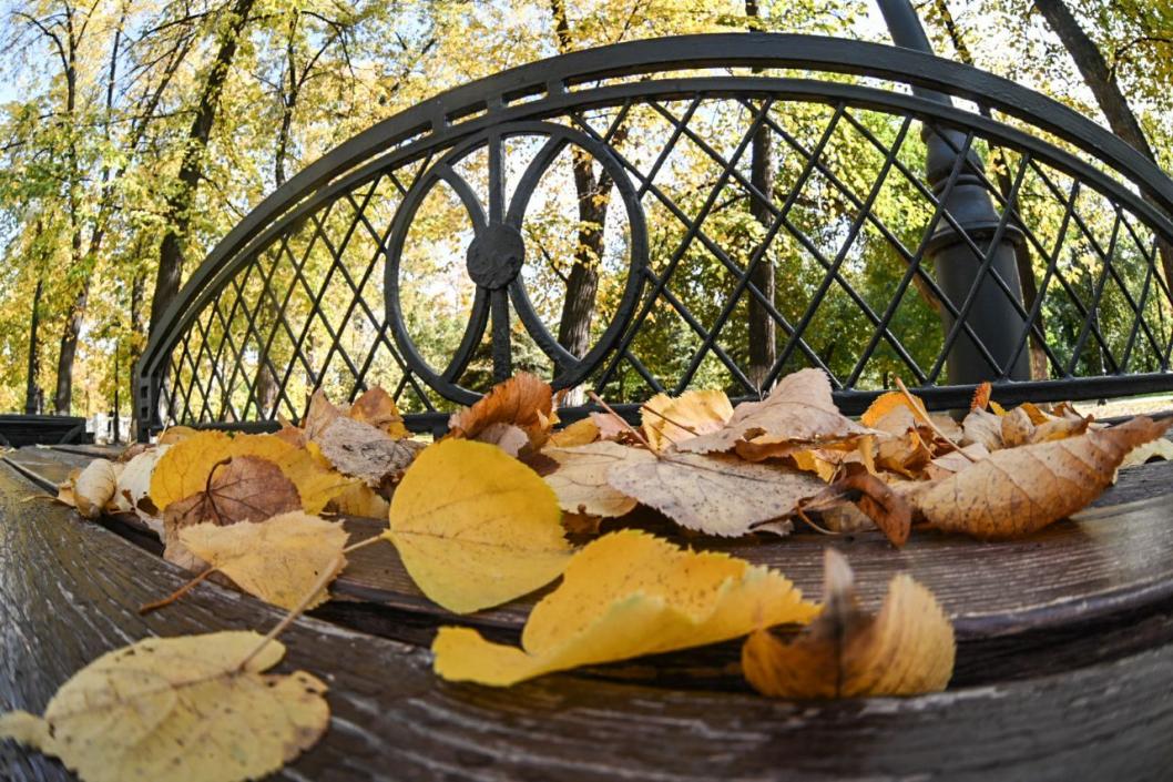 Сергей Елесин, ИА "Тюменская линия"