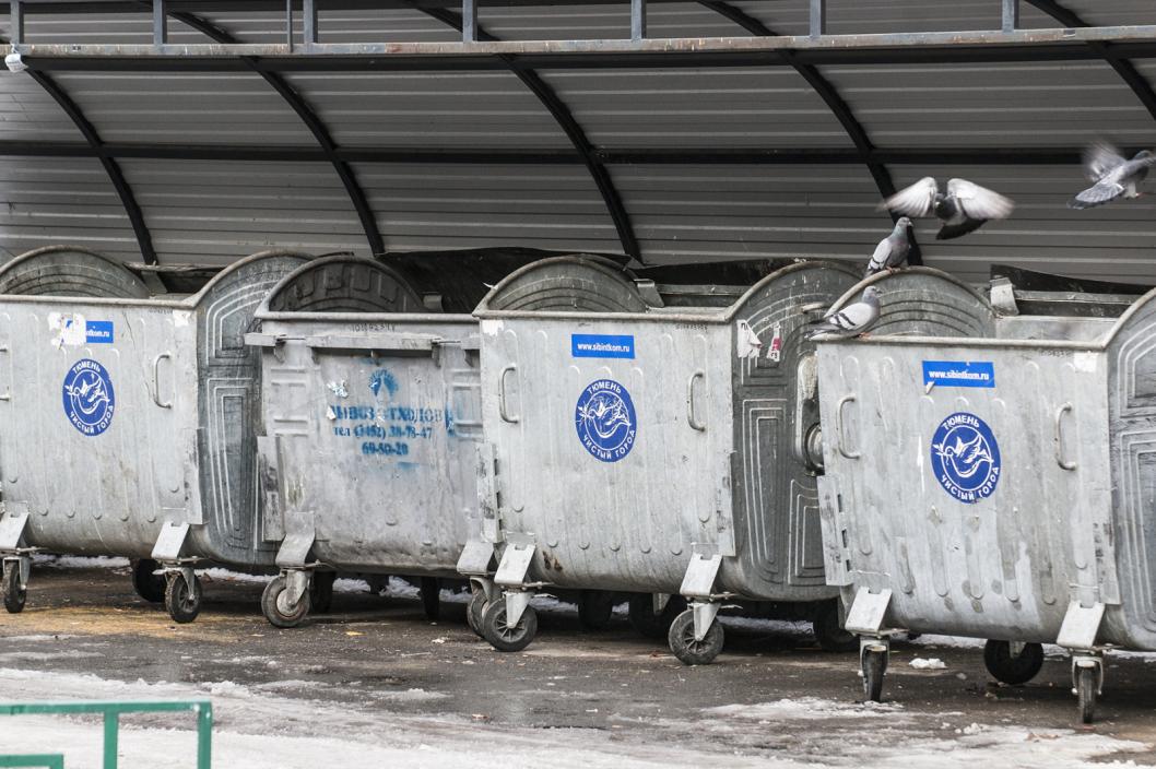 Сергей Елесин, ИА "Тюменская линия"