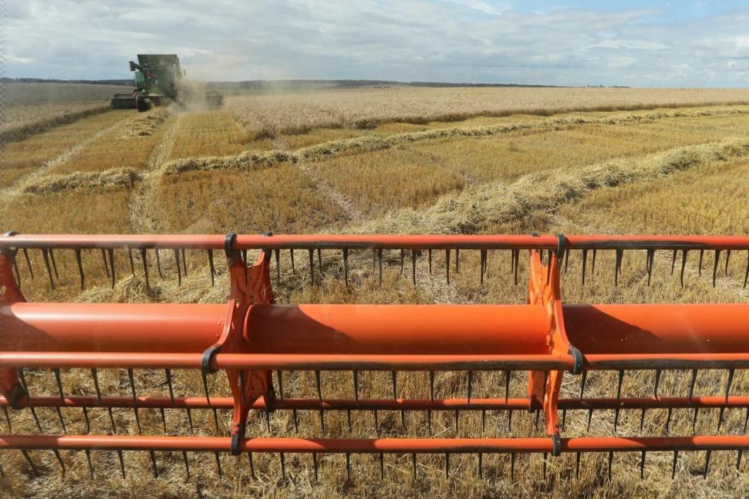 из Telegram-канала главы Омутинского округа Олега Кузнецова