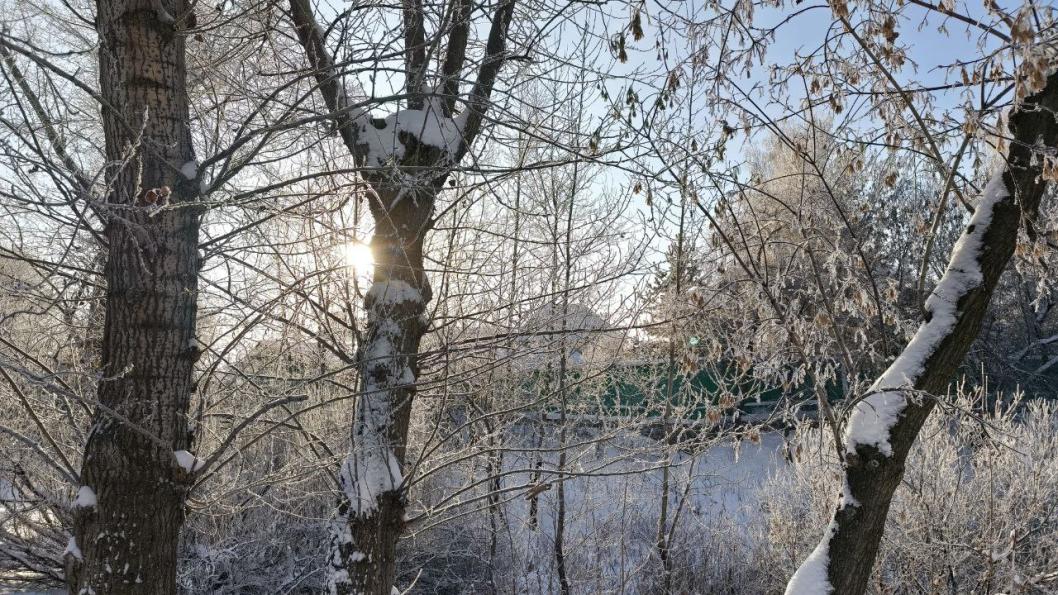 Инна Пахомова, ИА "Тюменская линия"