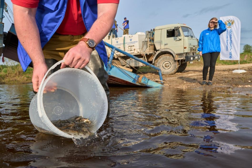 Стоян Васев