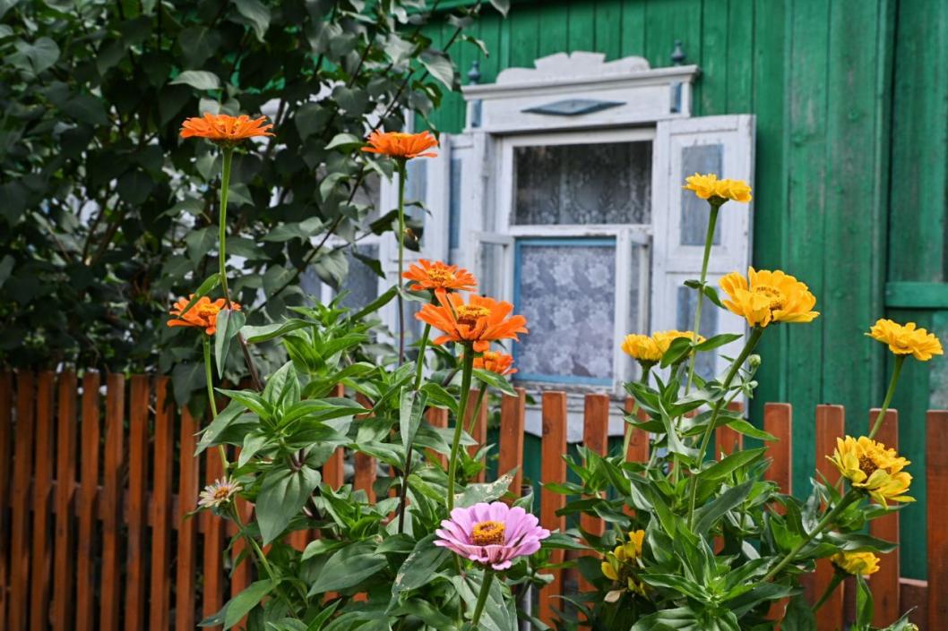 Сергей Елесин, ИА "Тюменская линия"