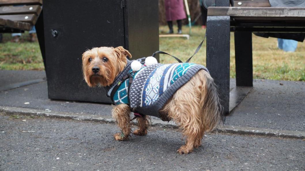 Инна Пахомова, ИА "Тюменская линия" (архив)