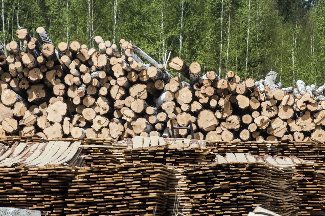 Сергей Елесин, ИА "Тюменская линия"