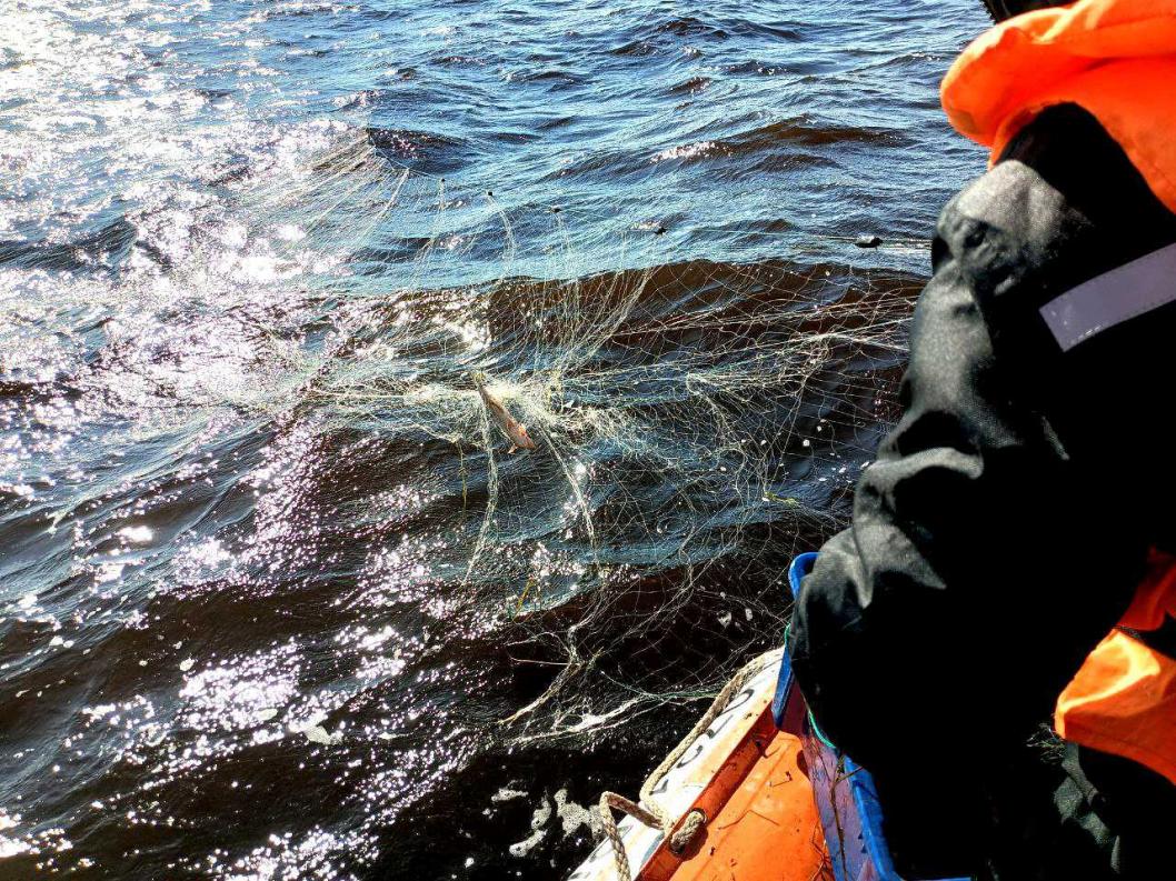 Тюменский филиал ВНИРО