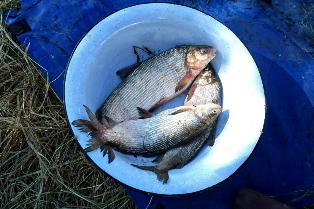 Тюменский филиал ВНИРО