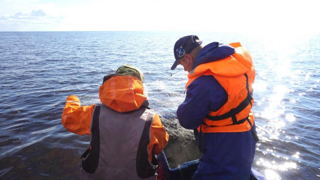 Тюменский филиал ВНИРО