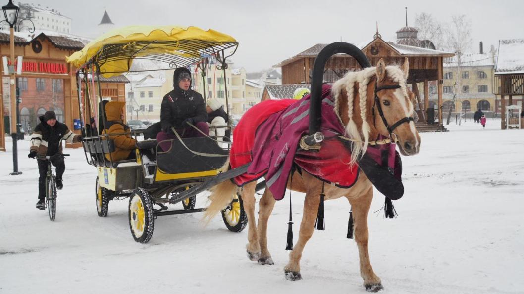 Инна Пахомова, ИА "Тюменская линия"