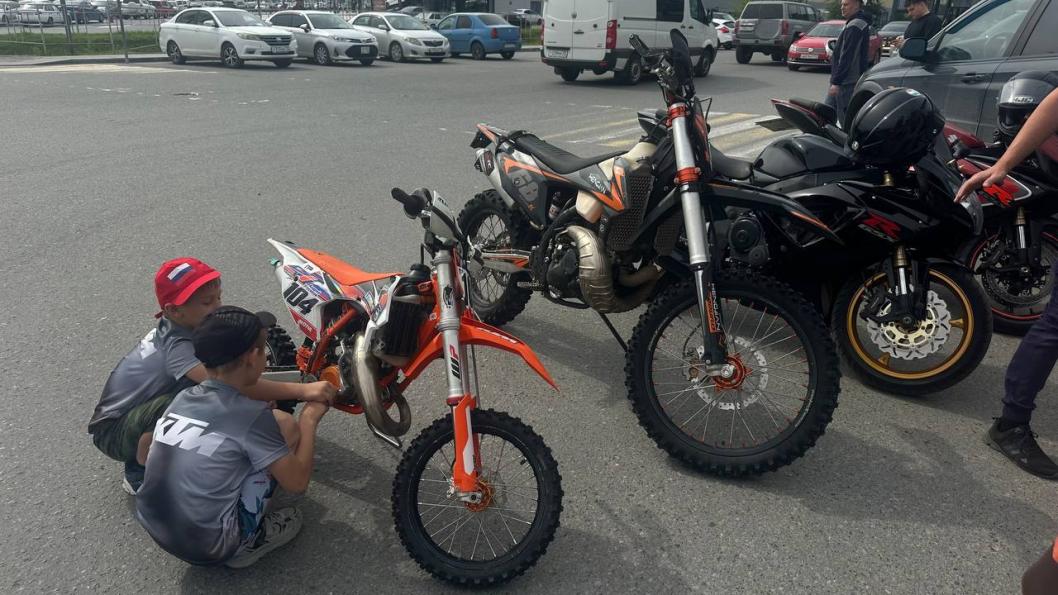 Юлия Божок, ИА "Тюменская линия"