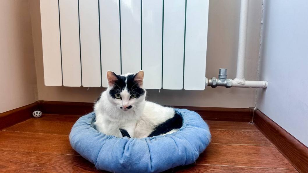 ИА "Тюменская линия"