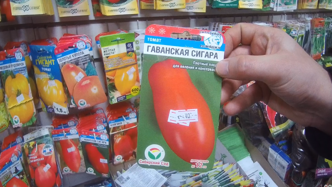 Легальность  2,8 тысячи партий семян проверили в тюменских магазинах с начала года