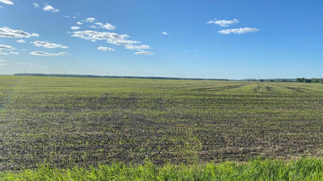 ИА "Тюменская линия"