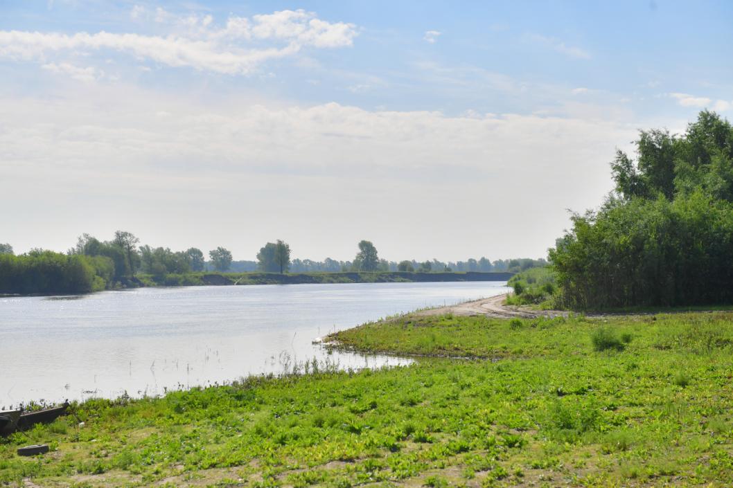 Сергей Елесин, ИА "Тюменская линия"