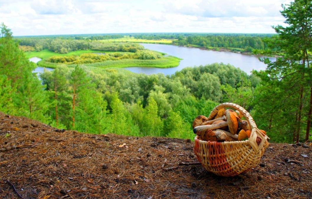 Пресс-служба Альянса СО НКО 