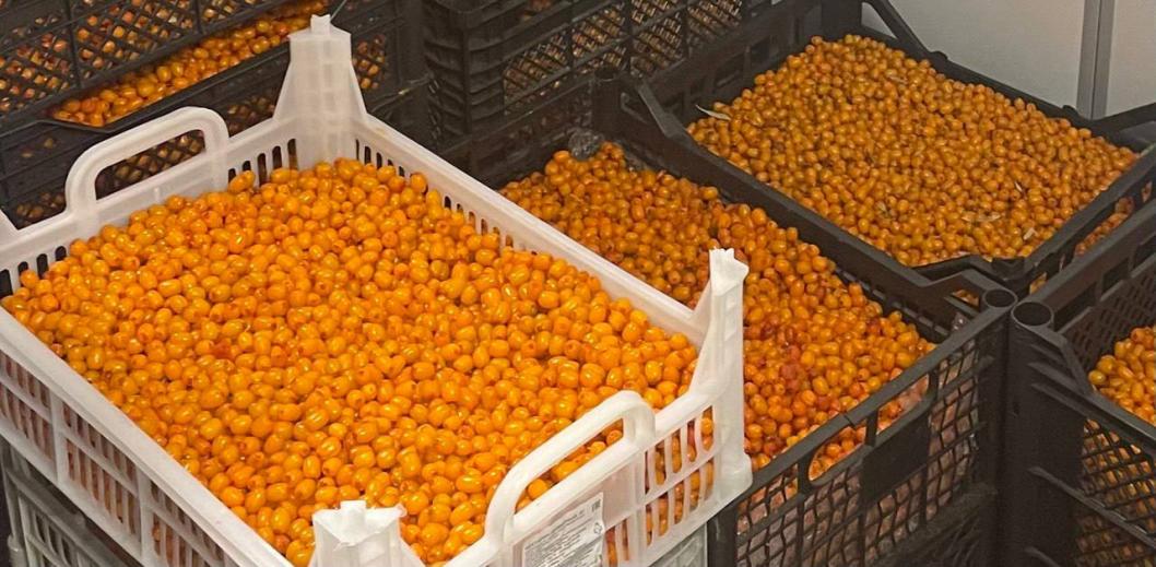 Центр «Мой бизнес» инвестиционного агентства Тюменской области