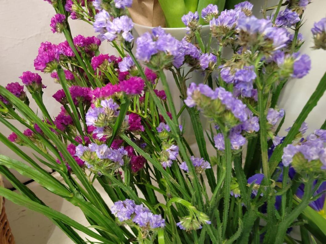 ИА "Тюменская линия"