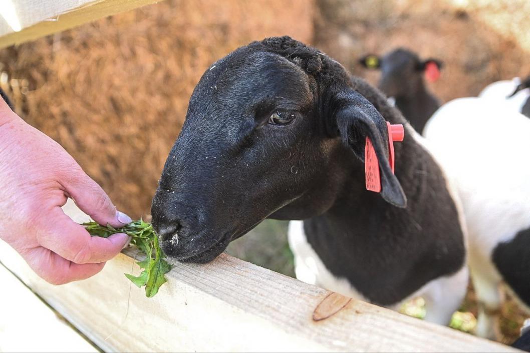  Сергей Елесин, ИА "Тюменская линия"
