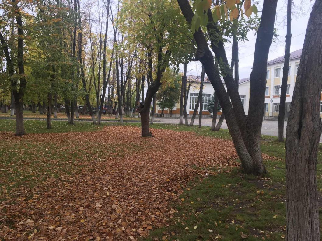 ИА "Тюменская линия"