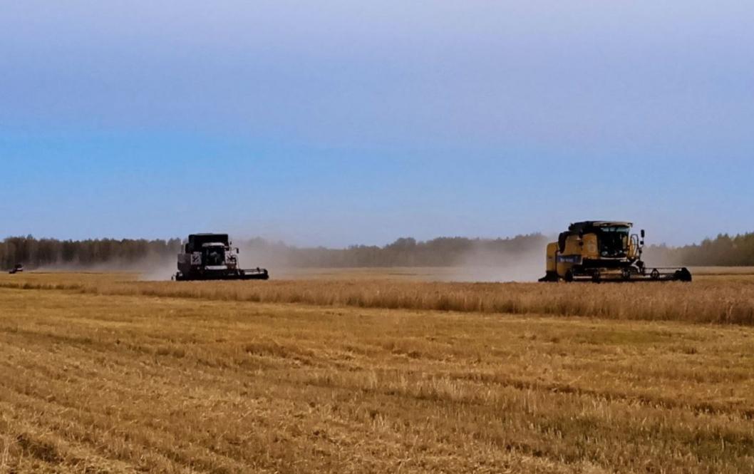 глава Аромашевского округа Игорь Власов