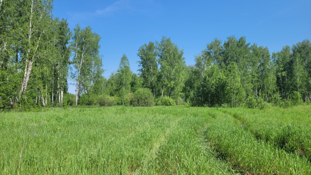 управление Россельхознадзора по Тюменской области, ЯНАО и ХМАО - Югре