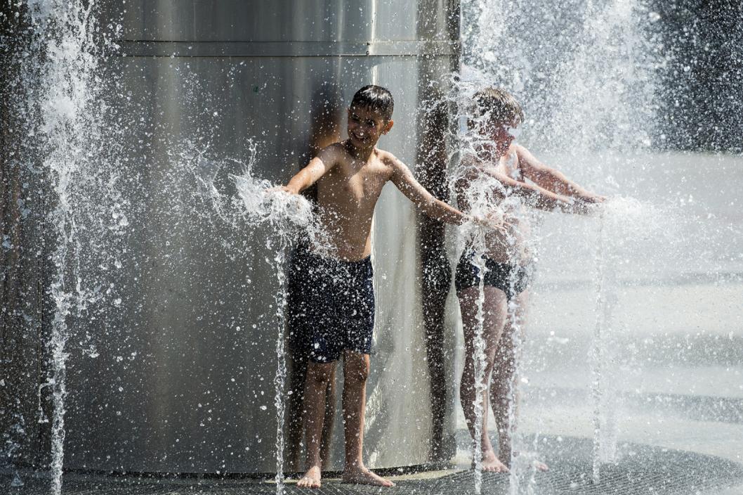 Сергей Елесин, ИА "Тюменская линия"