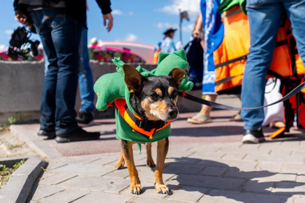 Сергей Мжельский, ИА "Тюменская линия"
