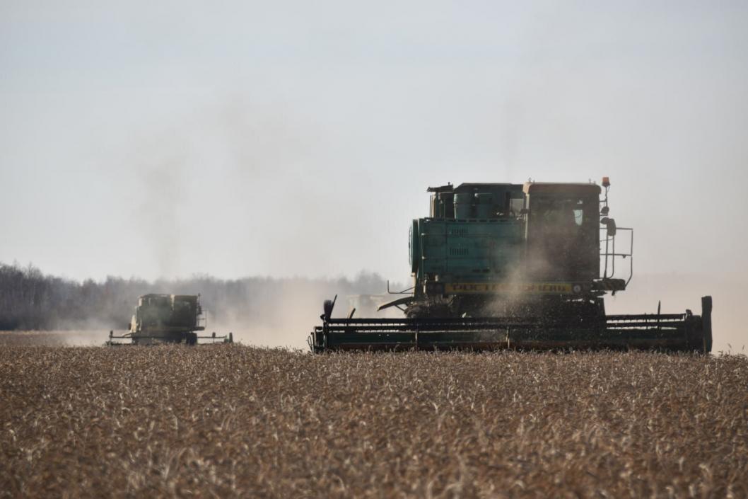 из Telegram-канала администрации Бердюжского округа