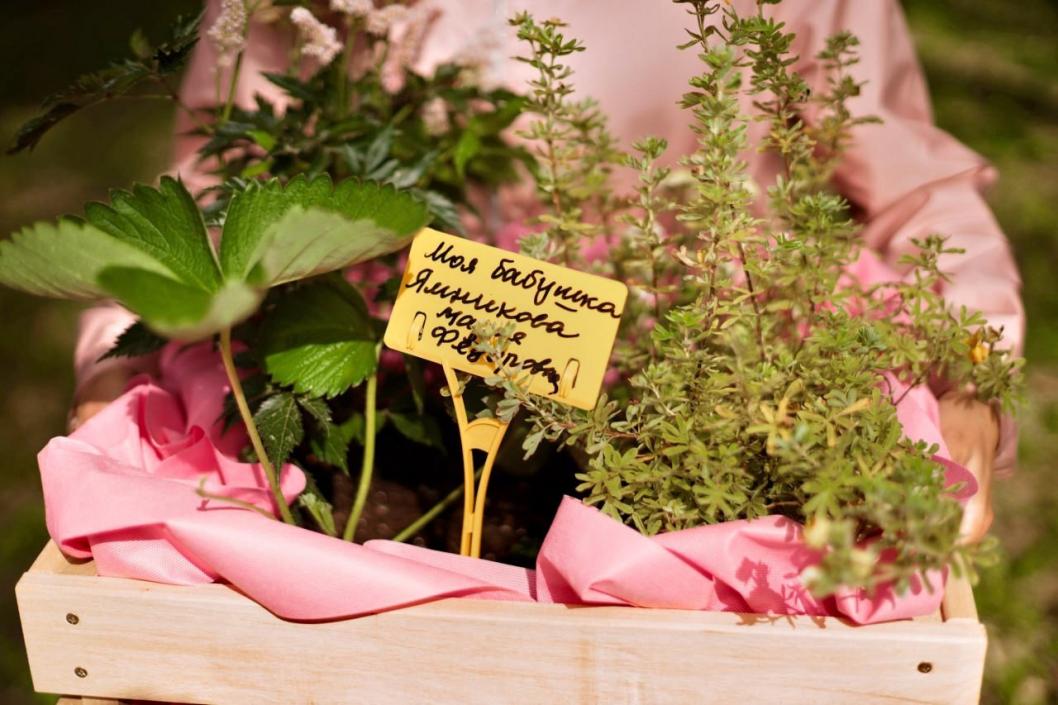 из сообщества "Морфология улиц | Тюмень" во ВКонтакте