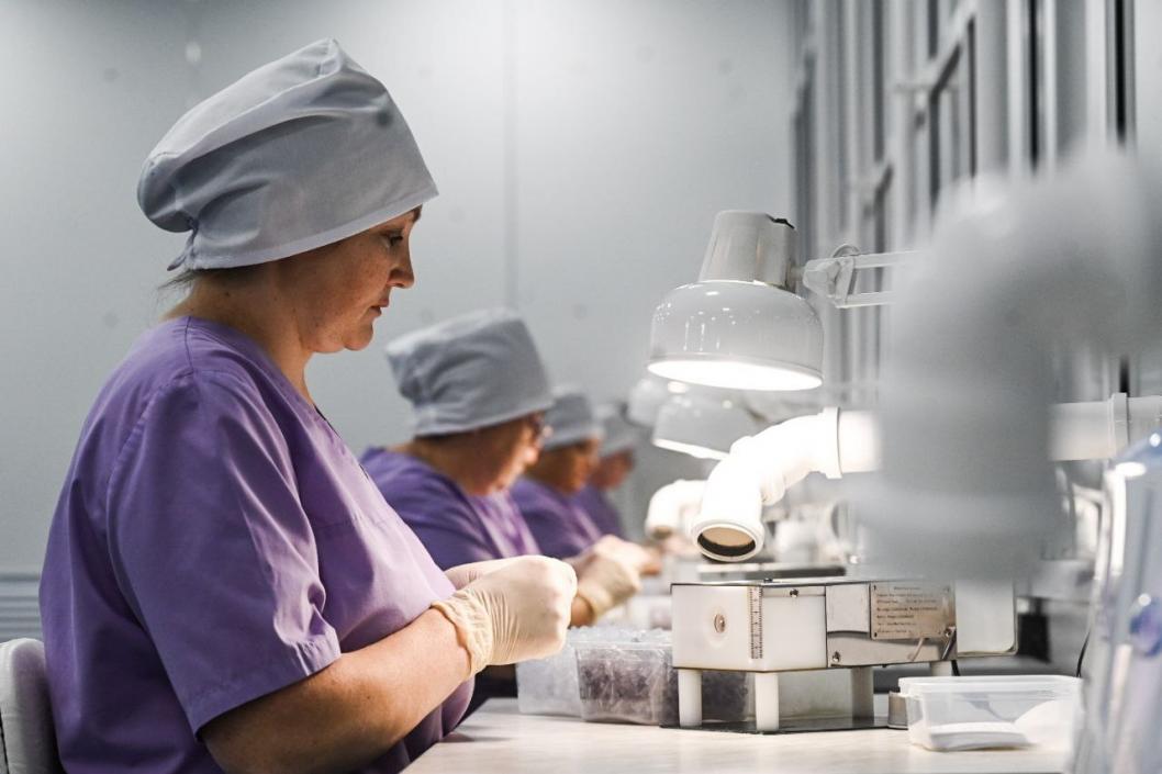 Сергей Елесин, ИА "Тюменская линия"