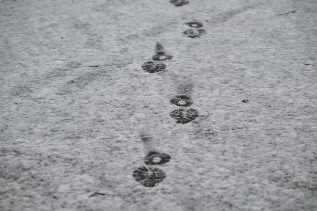 Сергей Елесин, ИА "Тюменская линия"