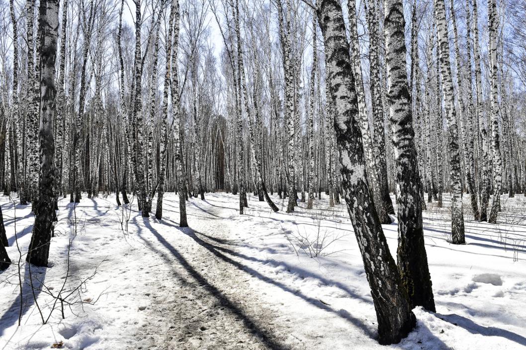 Сергей Елесин, ИА "Тюменская линия"