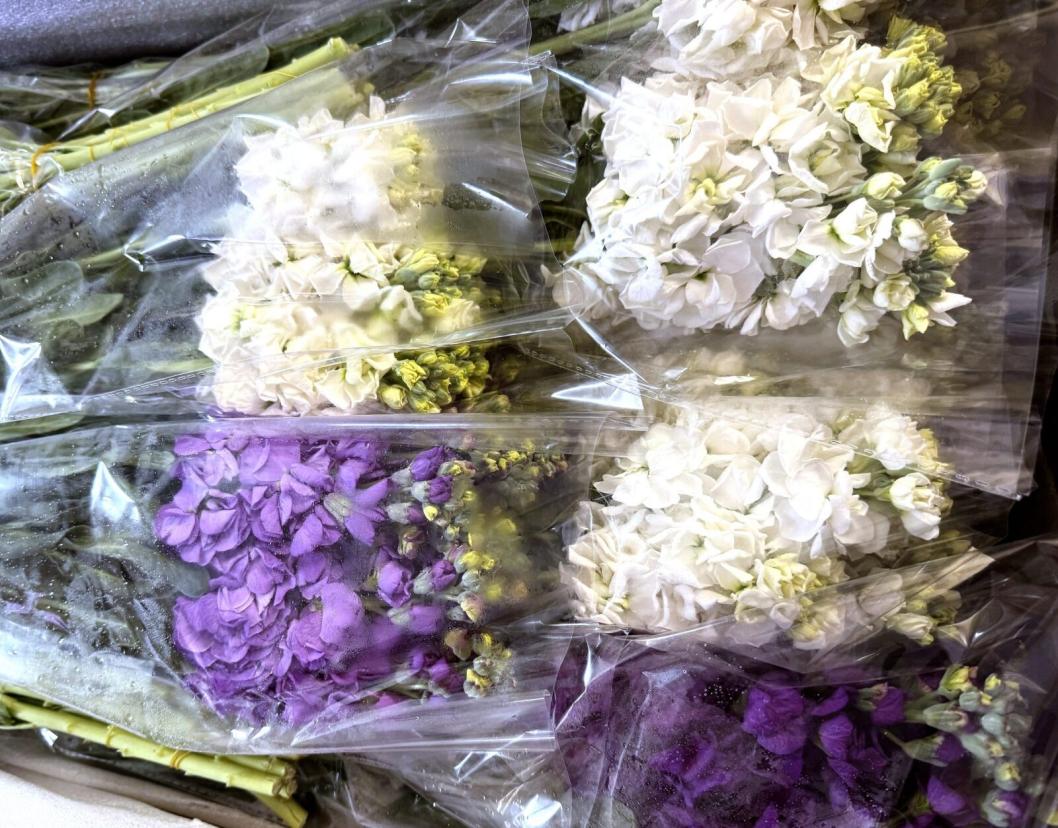 управление Россельхознадзора по Тюменской области, ЯНАО и ХМАО - Югре