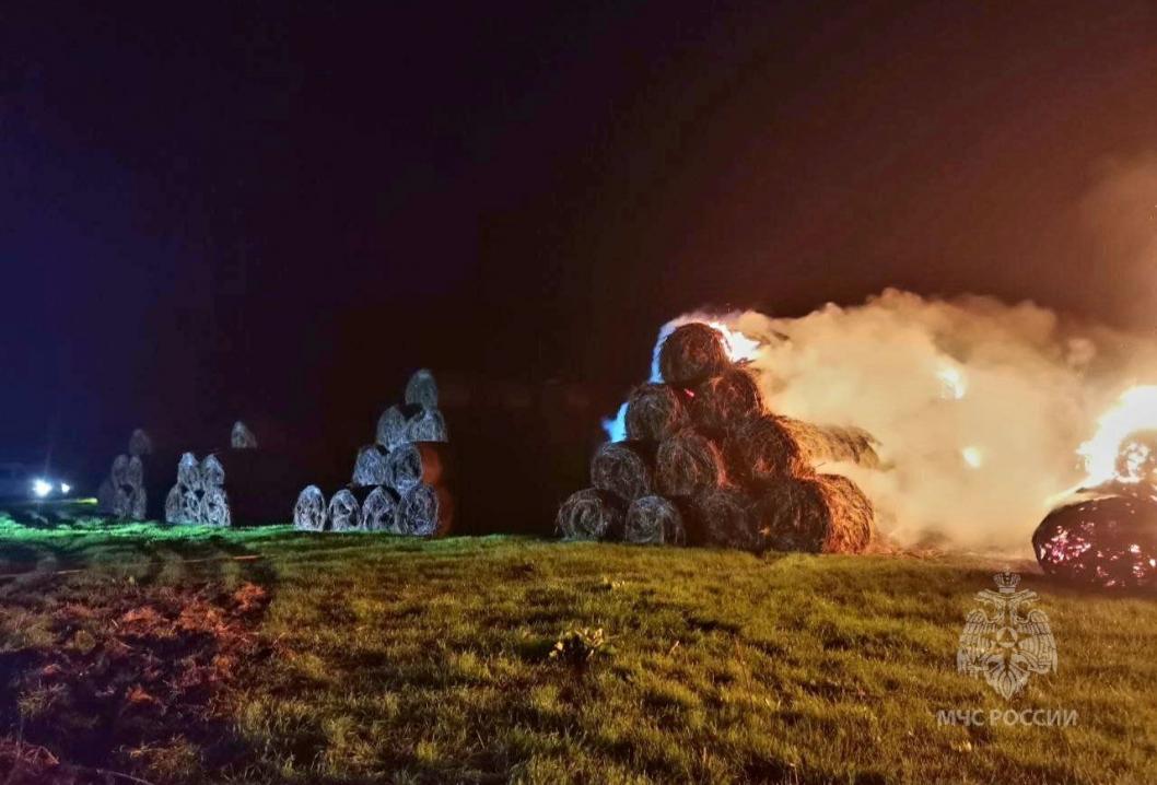 МЧС России по Тюменской области