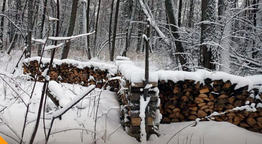 департамент лесного комплекса Тюменской области