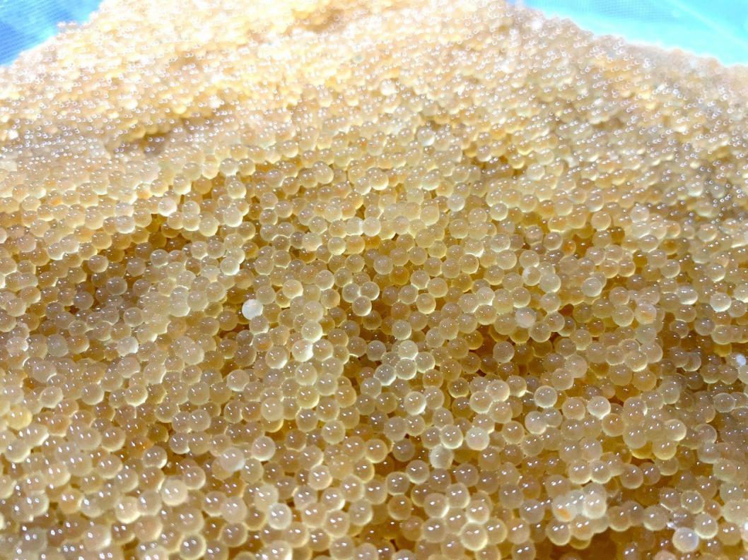 тюменский филиал ВНИРО