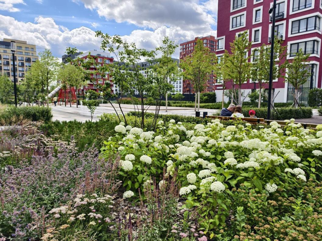 ИА "Тюменская линия"