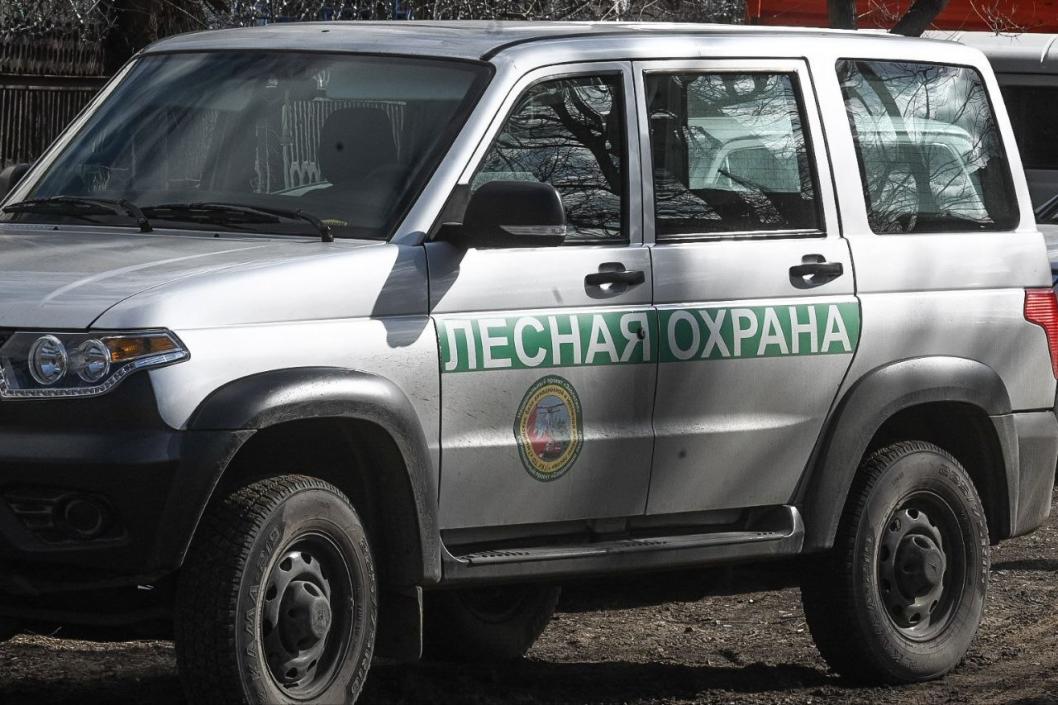 Сергей Елесин, ИА "Тюменская линия"