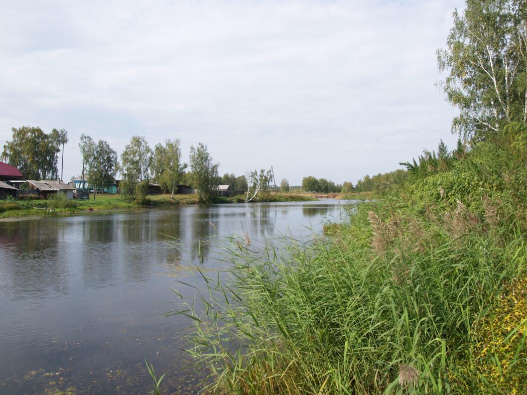 Виктор Сергеев, ИА "Тюменская линия"