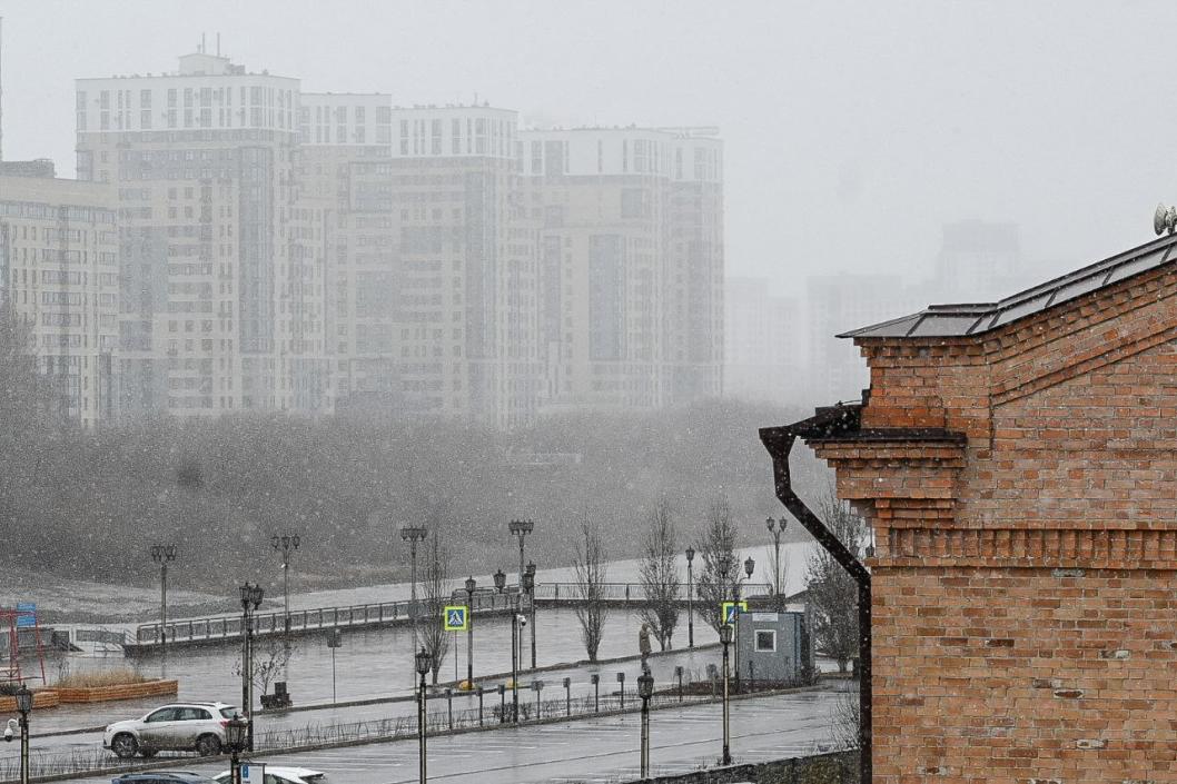 Сергей Елесин, ИА "Тюменская линия"