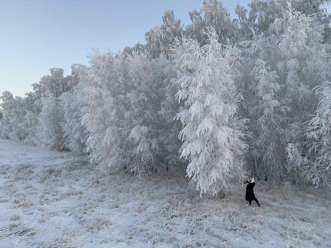 Погода тюменка